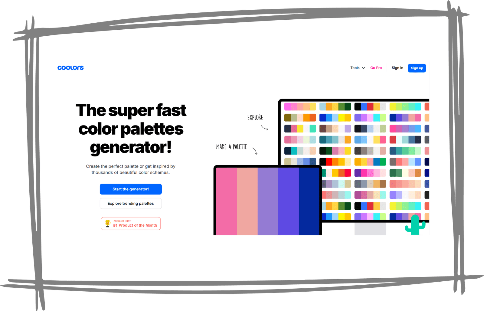 coolors color palettes generator